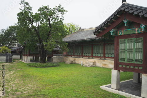 garden of Changdeokgung Palace in Seoul