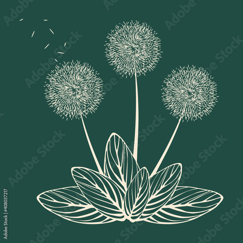 Decorative dandelion flowers light pink with striped leaves on a green background. Template for printing on pillows  covers  T-shirts  covers. Vector illustration.