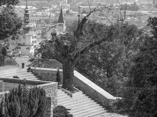 Photography Bratislava an der Donau