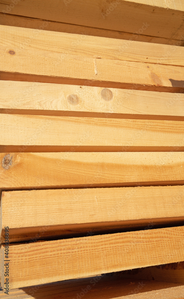 Fototapeta premium Fresh wooden studs