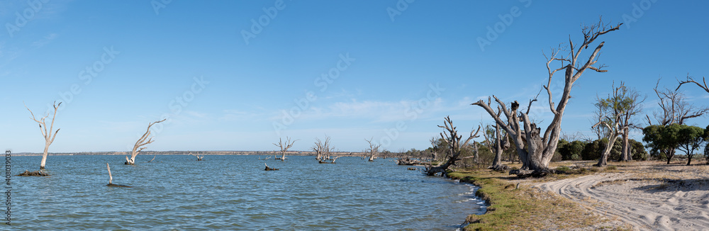 Lake Bonney Panorama, Barmera, South Australia. Popular area for camping and water sports. Australian touring destination.