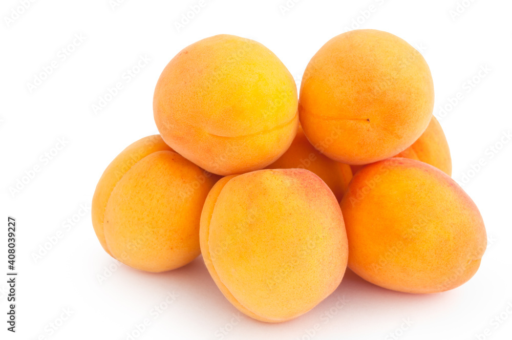 apricots on white isolated background apricots on white isolated background