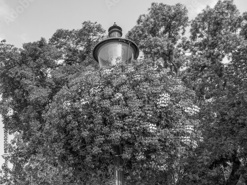Photography bratislava in der slowakei