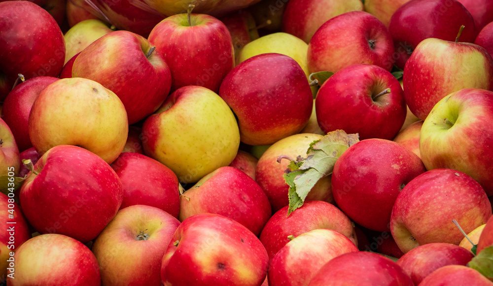 Close up of juicy red organic apples, at farmers market. Close up of juicy red organic apples, at farmers market.
