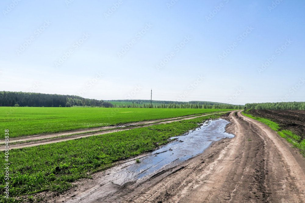 A dirt road with a large puddle of passing cars. A place where cars get into the mud and slip. A road along a field with green fresh grass.       