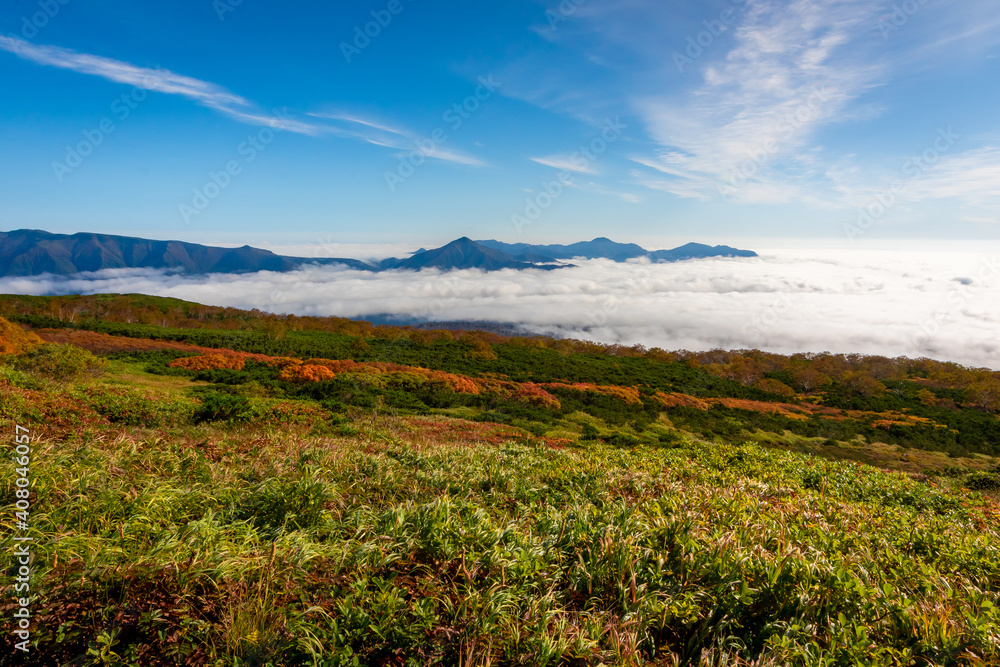 北海道・大雪山系の赤岳で見た、眼下に広がる紅葉と青空、迫り来る雲海
