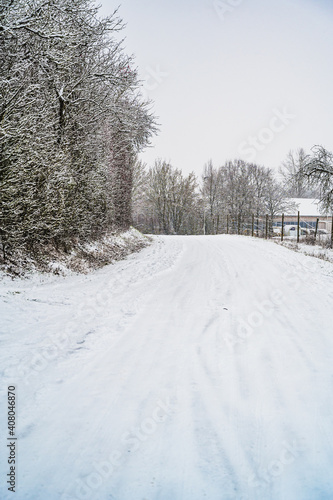 A vertical shot of a snow-covered road surrounded with bare trees