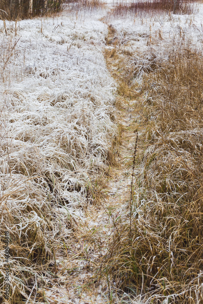 Frost hay landscape in winter nature Frost hay landscape in winter nature