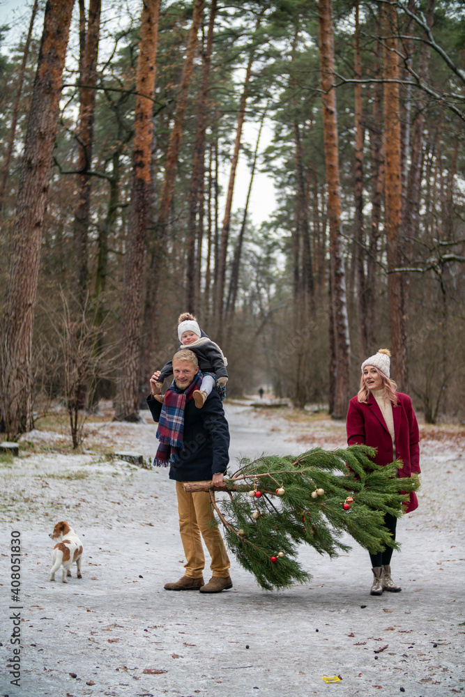 Fototapeta premium family carries a tree