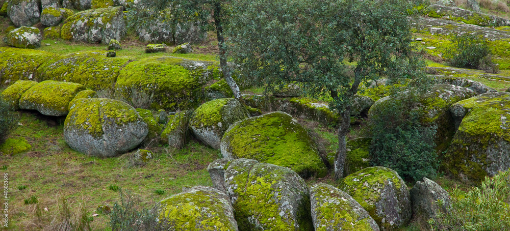 Parque Natural Sierra de Andújar, Jaen, Andalucía, España Parque Natural Sierra de Andújar, Jaen, Andalucía, España
