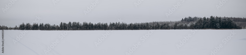 panoramic photos. Winter forest on background of a snow-covered lake panoramic photos. Winter forest on background of a snow-covered lake