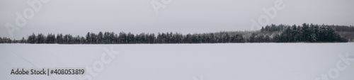panoramic photos. Winter forest on background of a snow-covered lake © Мария Шевцова
