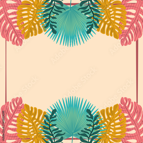 tropical leaves foliage nature decoration texture background