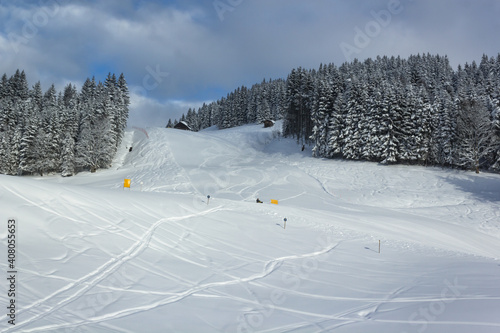 Beautiful mountain slope in wintertime with fresh ski tracks and snowy trees in the background(Filzmoos, Salzburg county, Austria)