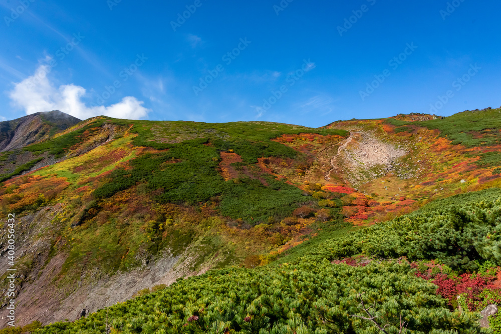 北海道の大雪山・赤岳で見た、紅葉や緑の植物が広がる風景と、その後ろにある快晴の青空