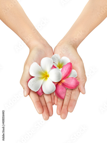 Beautiful woman hand holding a frangipani flower on a white isolated background