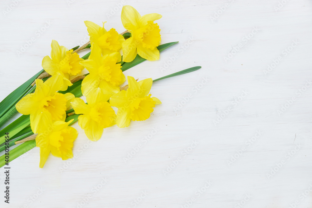 bunch of daffidils on white wooden background, copy space bunch of daffidils on white wooden background, copy space