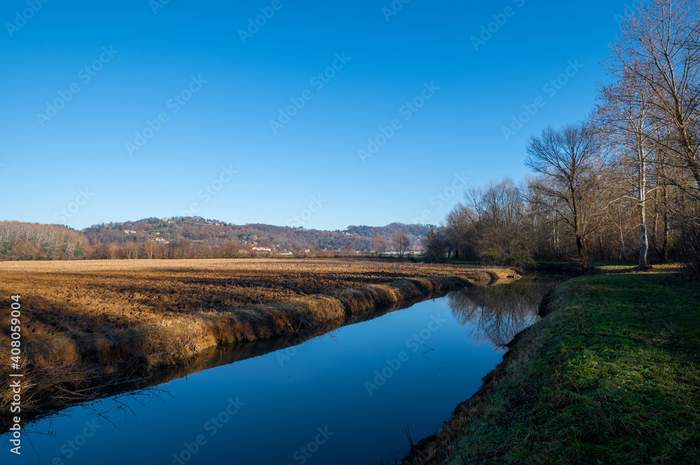 Particular of the north italian countryside, particular of the river and of the embankments, of the trees in the woods on a blue sky day in autumn, cold but with the sun. Veneto. Italy