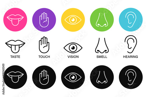 Five senses of human nervous system icon vector illustration, Simple line icons and color circles,