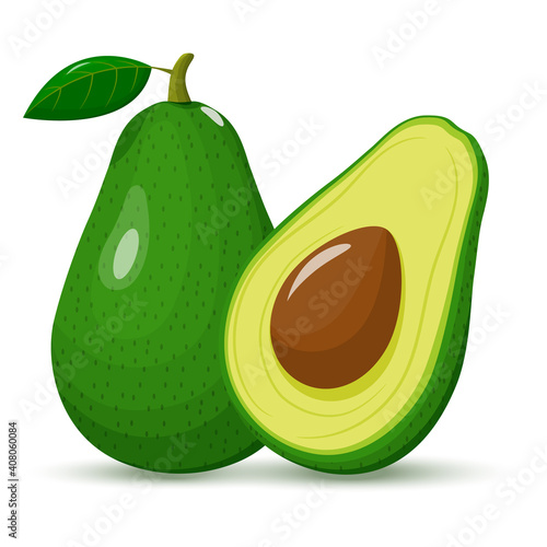 Avocado whole and half. Green avocado with seed. Fruit isolated on a white background. Flat design. vector illustration