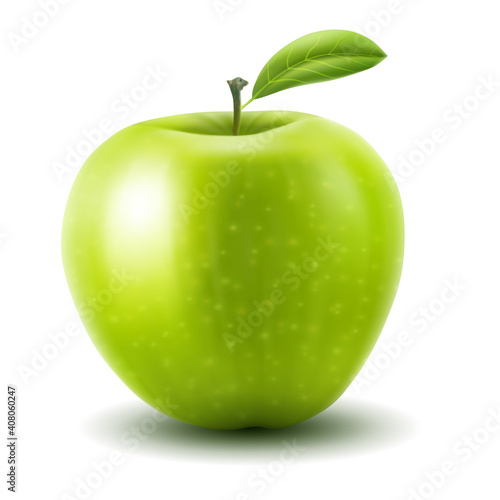 Apple. Vector illustration of fresh green apple with single leaf, realistic gradient mesh design, isolated on white