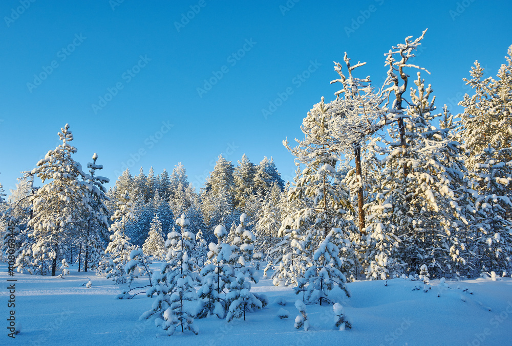 Beautiful Christmas Winter Beautiful Christmas Winter