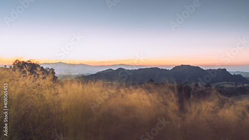 the grasses and cloud before sunrise