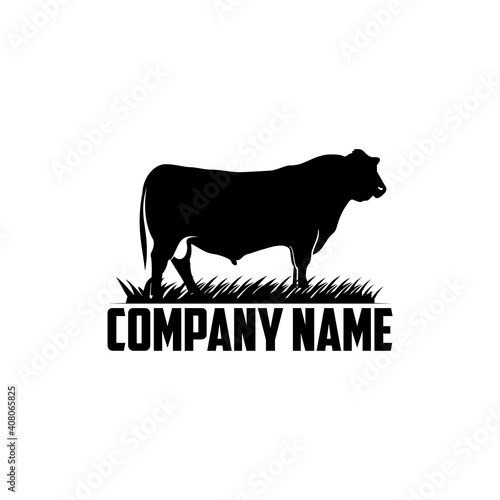 Cattle Angus Beef Livestock logo design vector illustration