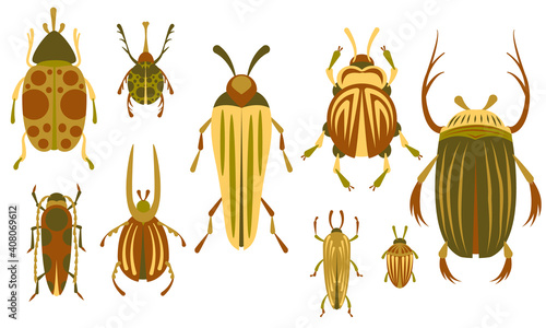 Set of beetles of different types in a flat style. Vector illustration