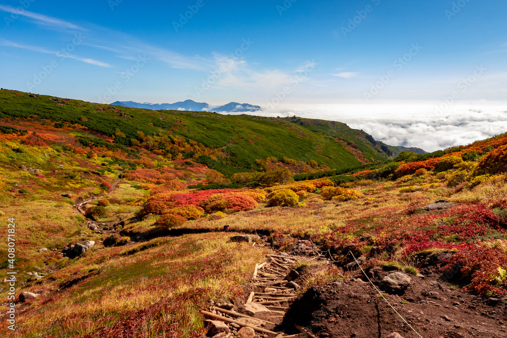 北海道の大雪山系・赤岳で見た、一面に広がる紅葉と雲海・青空の共演