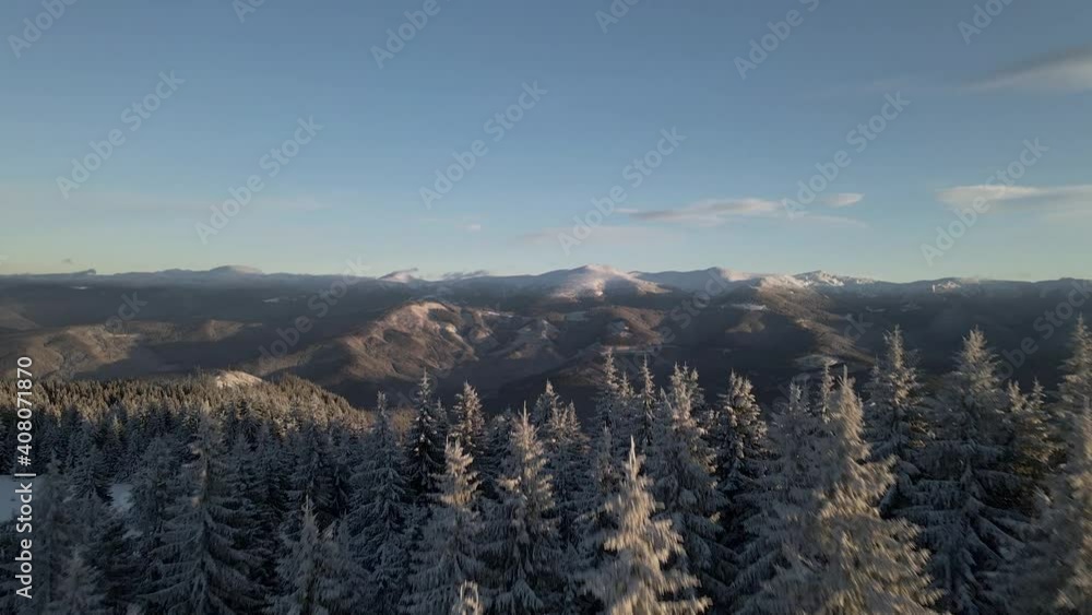 Drone rising above pine forest unveiling mountain range at sunrise. Aerial shot of winter valley Drone rising above pine forest unveiling mountain range at sunrise. Aerial shot of winter valley