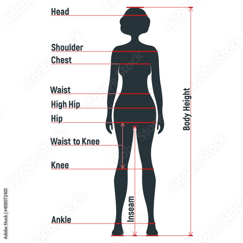 Female size chart anatomy human character, people dummy front and view side body silhouette, isolated on white, flat vector illustration.