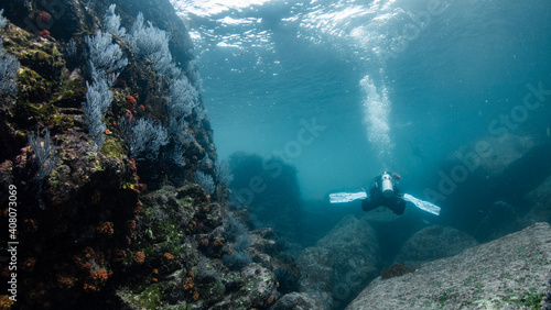 Underwater photography in Baja California Sur, Mexico