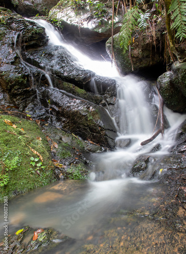 Cascada natural en el bosque, cascada en forma de seda