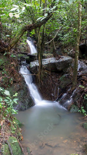 Cascada natural en el bosque, cascada en forma de seda