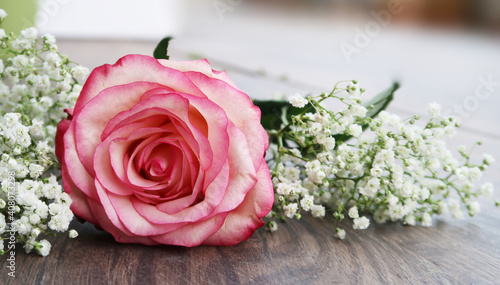 beautiful pink rose on wooden floor with blurred background