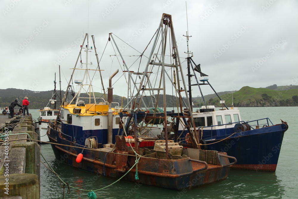 fishing boats in the harbor