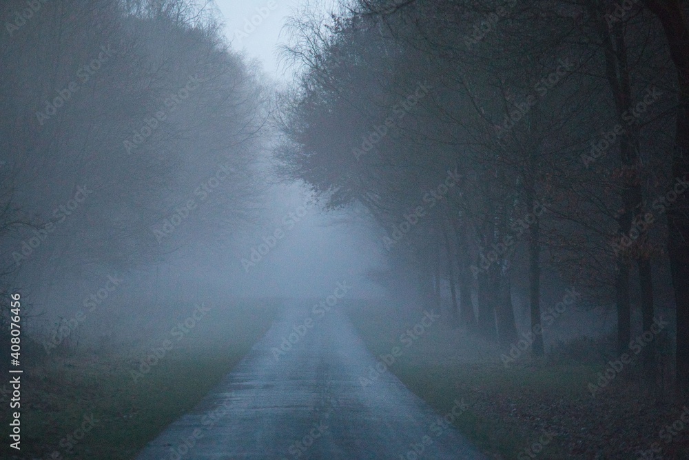 Fototapeta premium Asphalt road after the rain in the evening in the fog