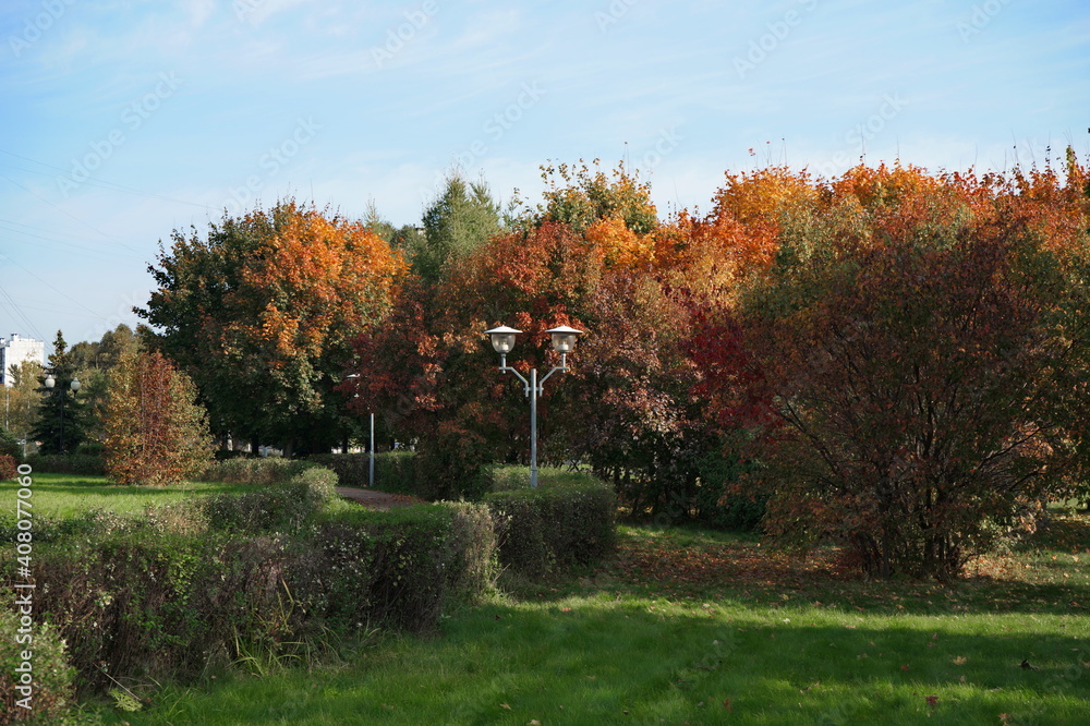 Autumn in a city park in Moscow.