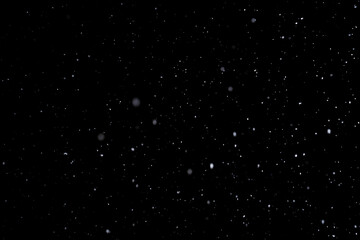 Winter background. Real snow isolated on pure black background