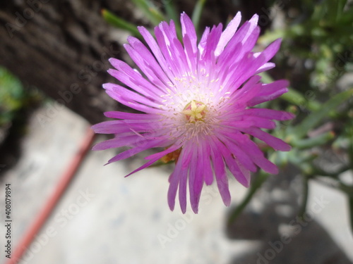 el sol la baña y resalta su belleza