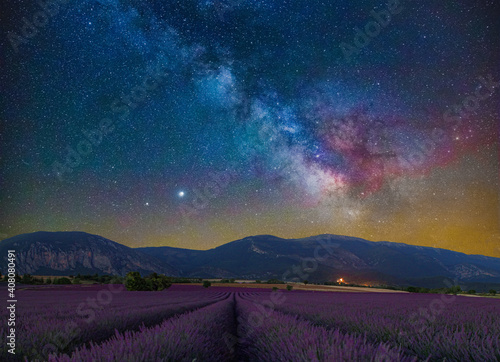 The Milky way over a lavender field in the French Alps, Provence, South of France