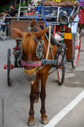 Horse and carriage for tourist in Lampang Province, Thailand.