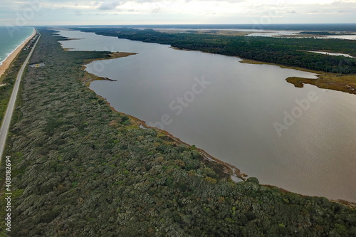 Coastal swampy area along the Florida coast photo