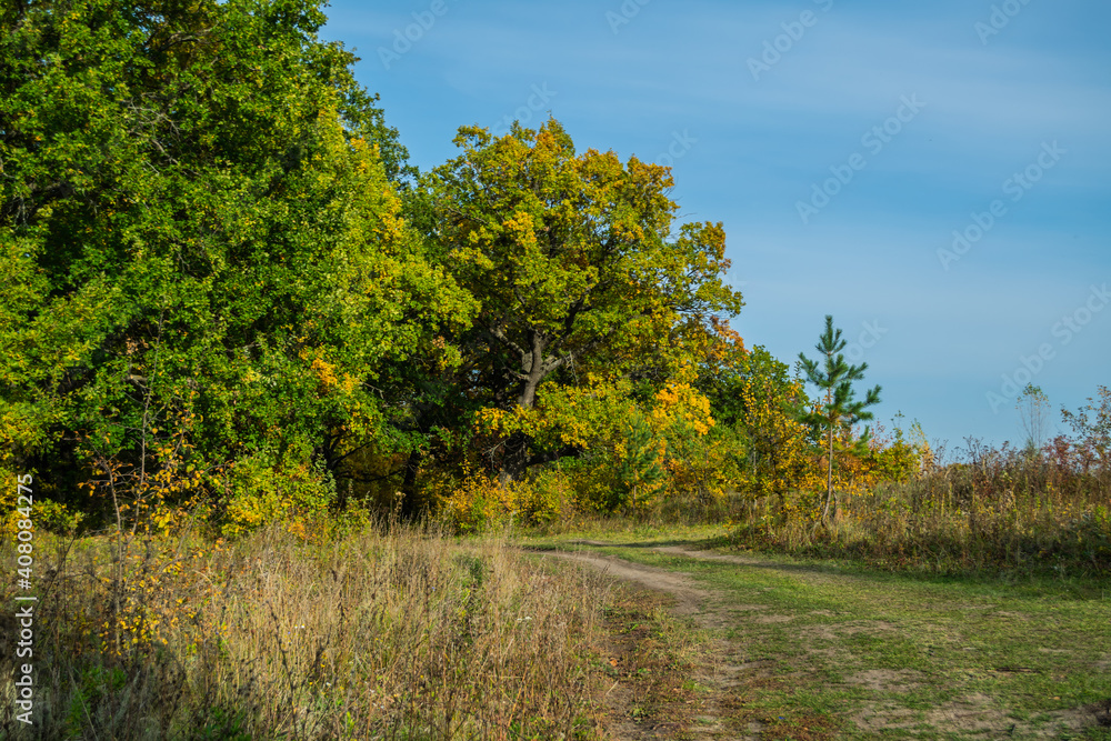 gravel road with foliage in sunny autumn forest in countryside, Samara, Russia