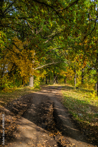 gravel road with foliage in sunny autumn forest in countryside, Samara, Russia