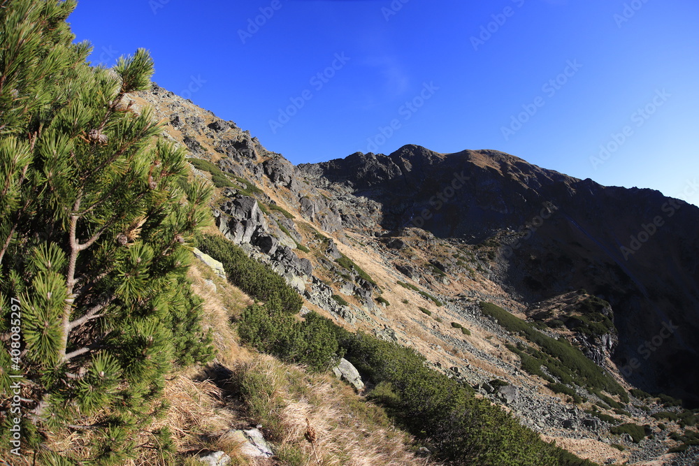 Tatra Mountains Walentkowy Wierch in the Evening Tatra Mountains Walentkowy Wierch in the Evening