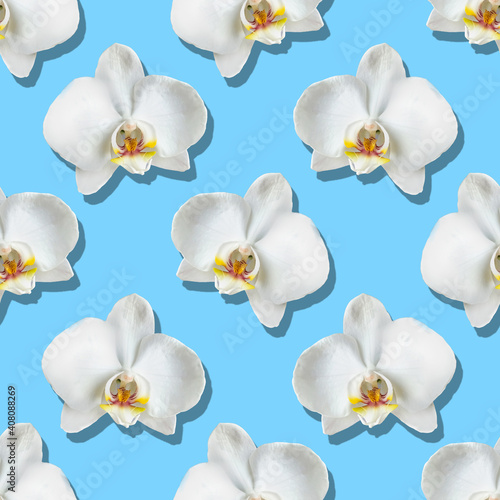 seamless pattern of white orchid flower buds on blue background