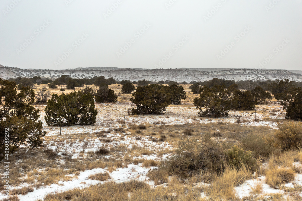 Large bushes dotting an empty yellow field with snow coming down in rural New Mexico Large bushes dotting an empty yellow field with snow coming down in rural New Mexico