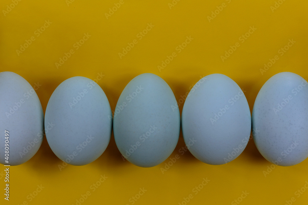 close up of a row of pale blue heirloom eggs on a bright, intense yellow colored background with copy space, Easter theme close up of a row of pale blue heirloom eggs on a bright, intense yellow colored background with copy space, Easter theme